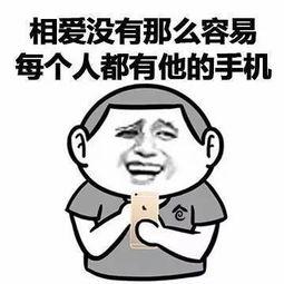 歌迷 表情包,捕捉音乐狂欢的瞬间