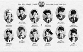 exo资料及图片,星光璀璨的韩国男子组合传奇之路