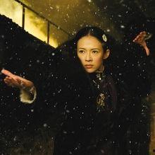 章子怡八卦掌,武侠女神的神秘魅力